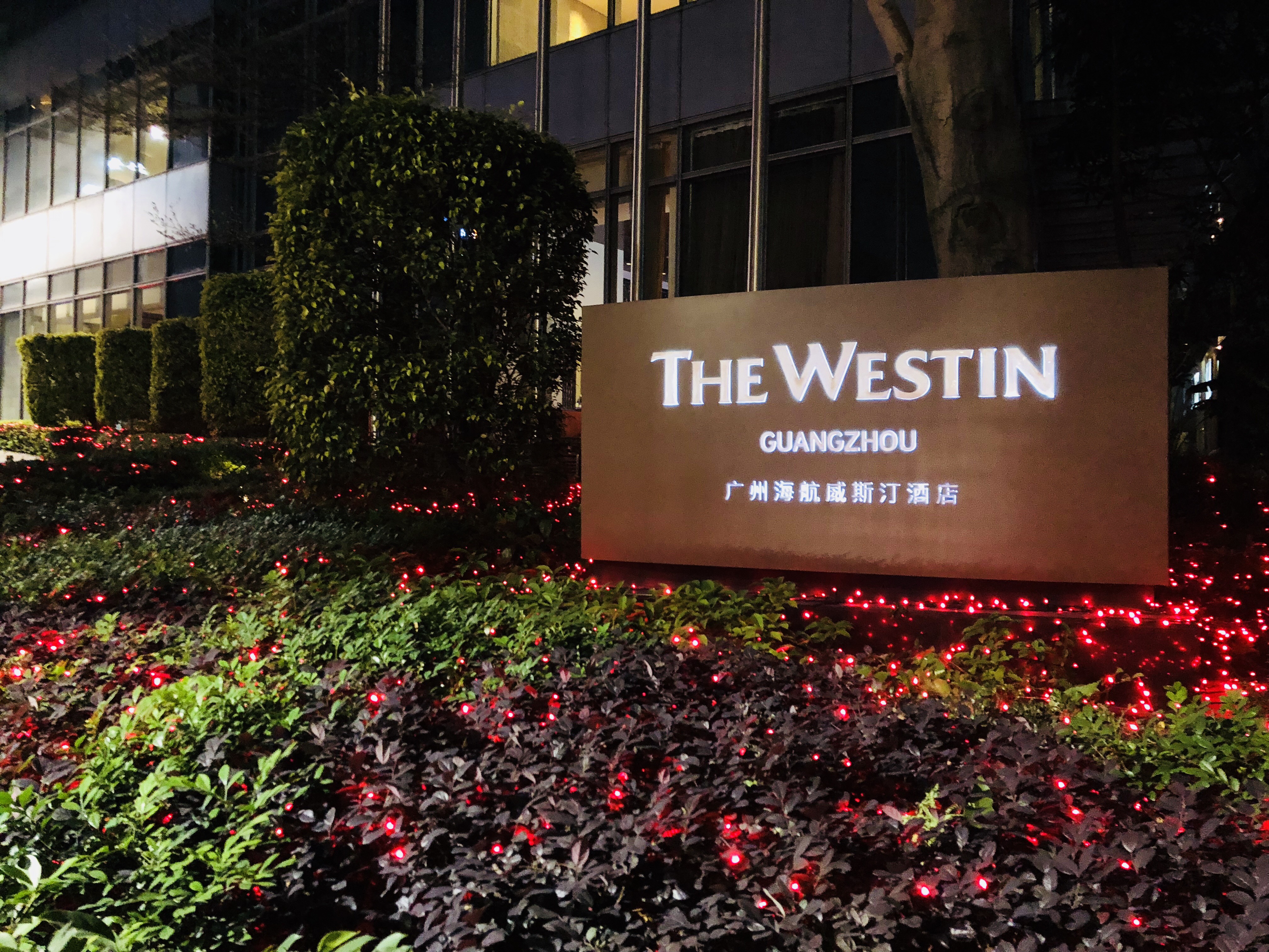 广州海航威斯汀——因"汀"而生的westin 情节-酒店