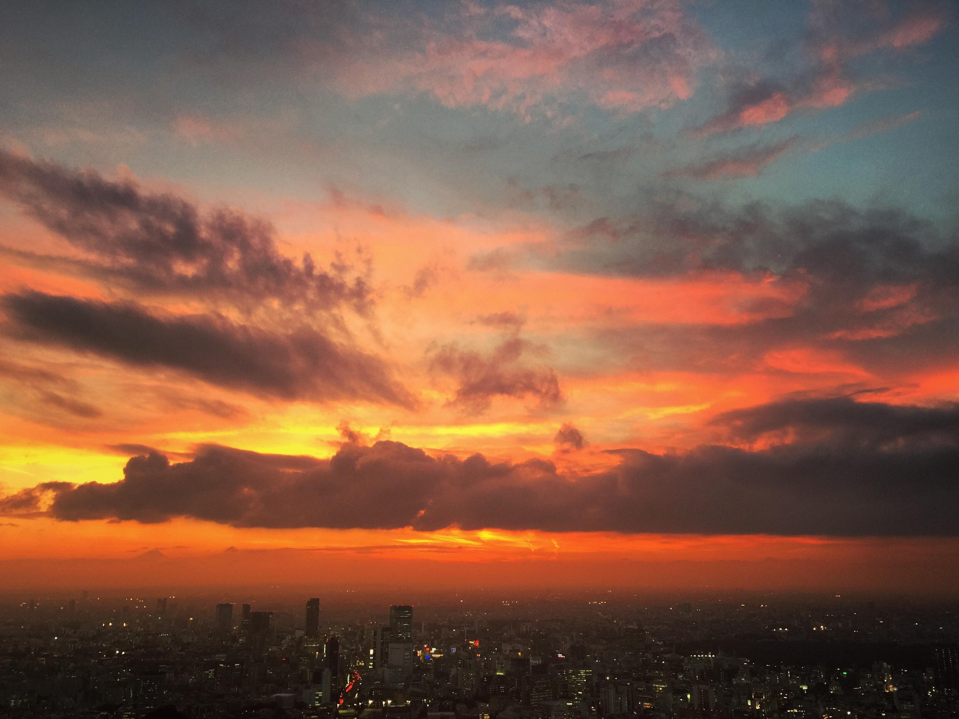 霓虹国新宿区的经典入住_东京希尔顿 神社推荐