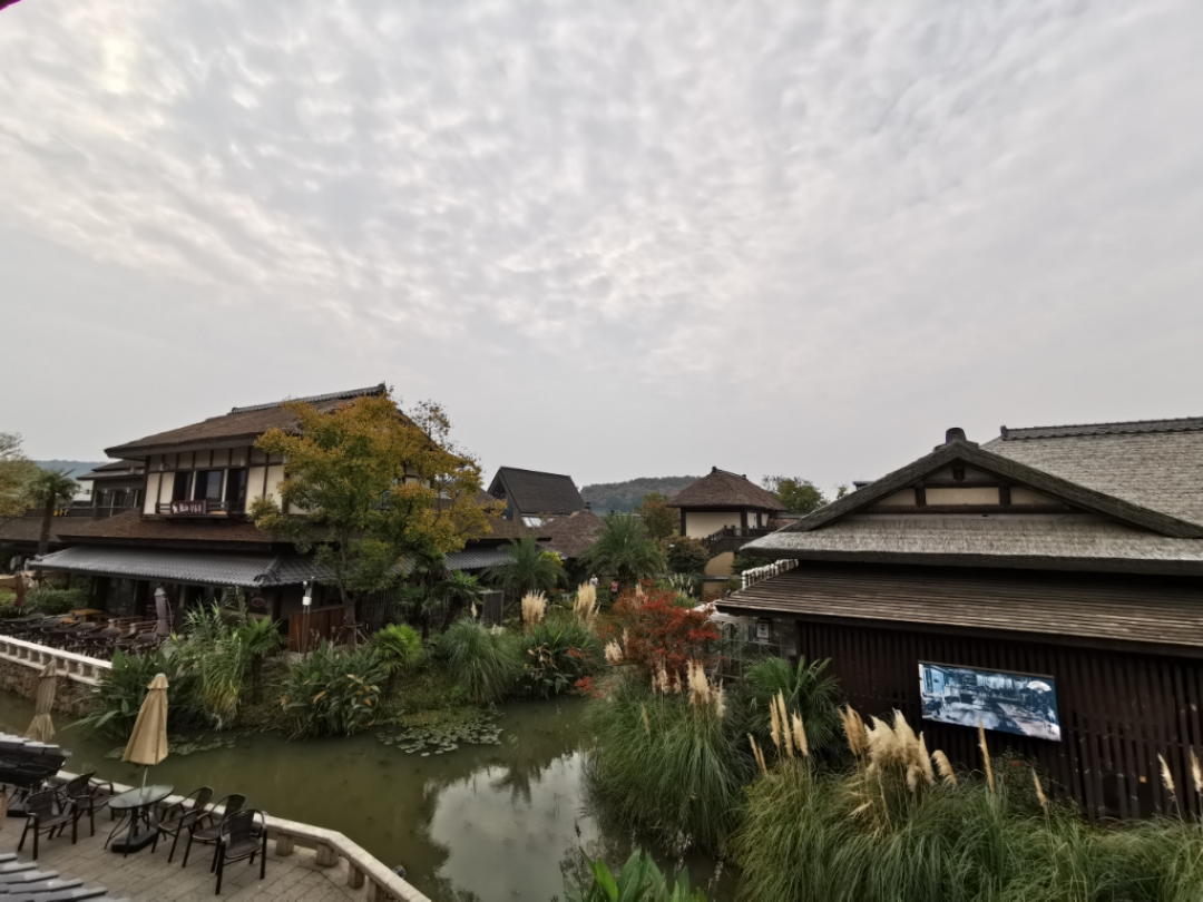 拼多多版京都无锡拈花湾两家民宿芦花宿门前一棵松