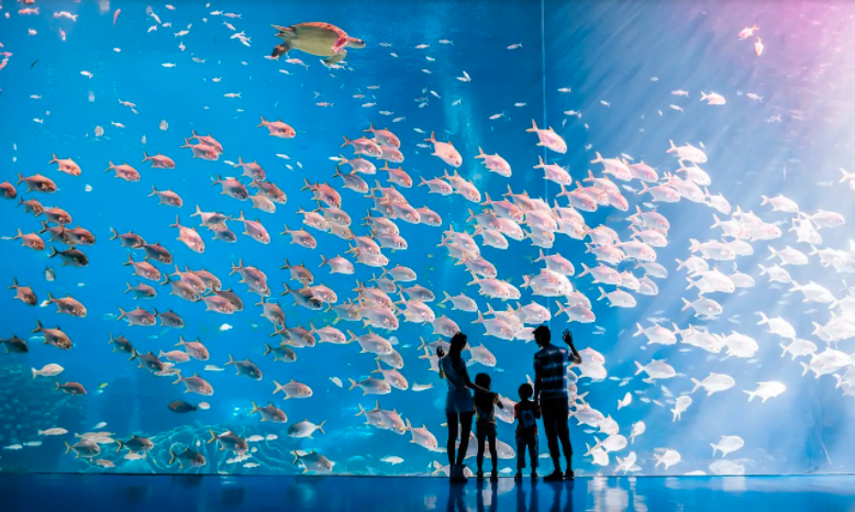 【限时特惠】珠海长隆海洋王国门票
