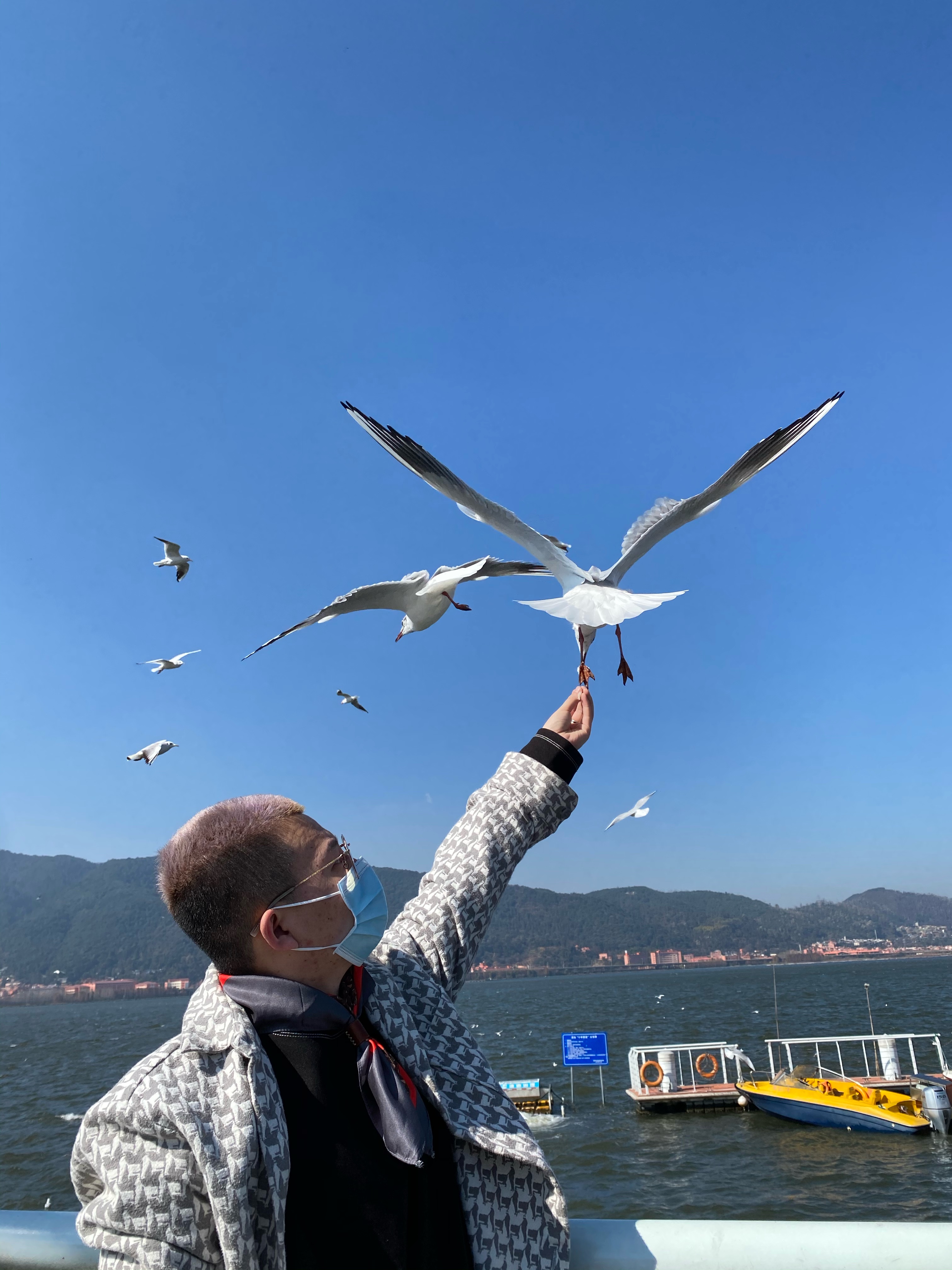 酒店距离海埂大坝很近 十五分钟就可以走到 可以去喂喂海鸥 还是挺