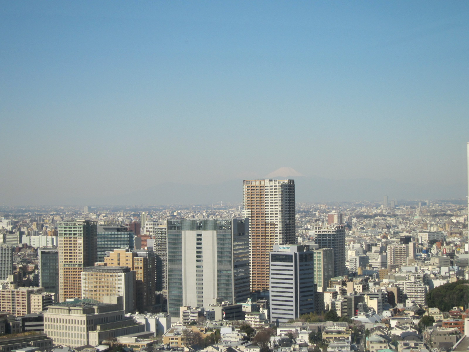 Tokyo ANA strings IC   2012.4  club  corner rm(3110)  M