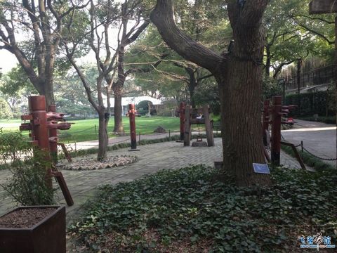 【上海.瑞金洲际.三八妇女节.市中心的世外桃源.非常满意.真实入住多图70P,含hh图】