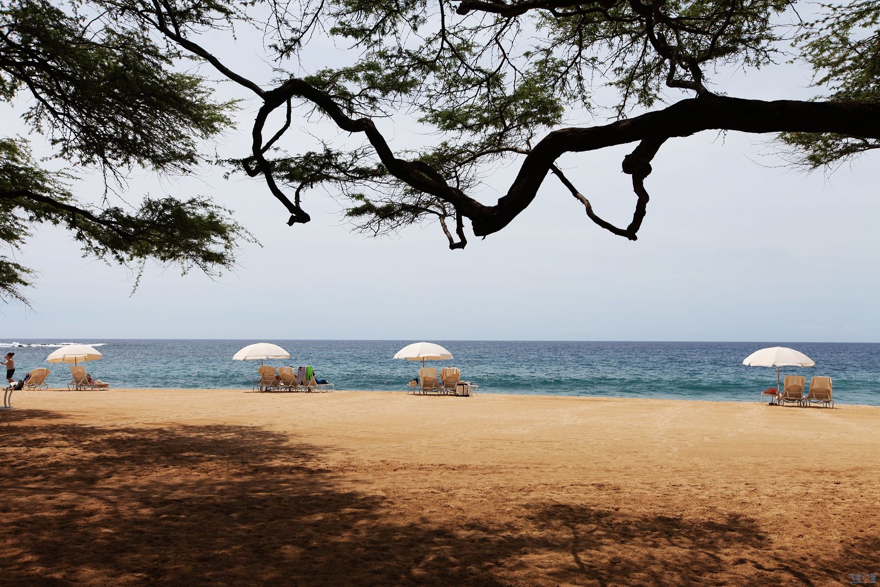 εļƵFour Seasons Lanai at Manele Bay[LodgeѸ]