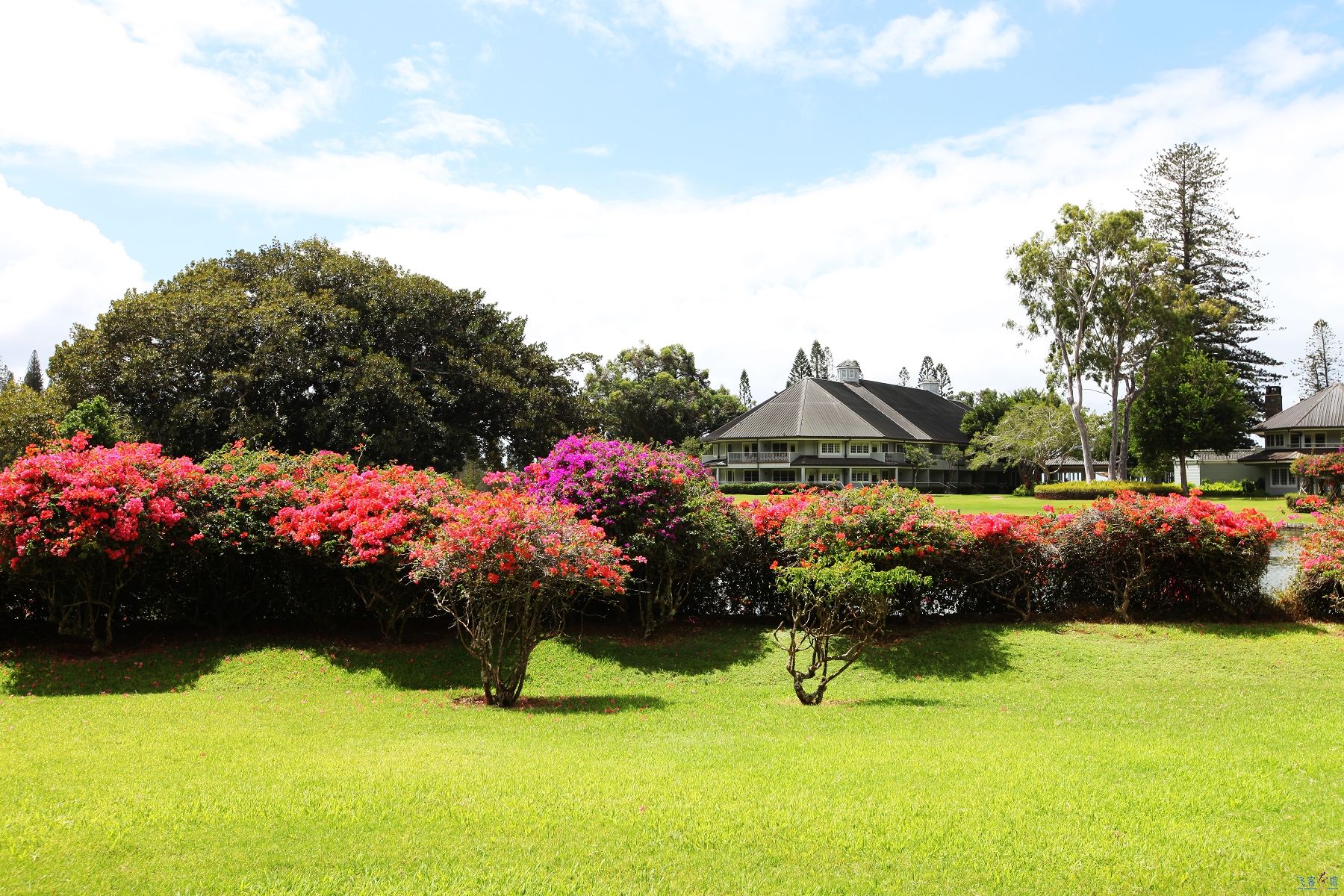 εļƵFour Seasons Lanai at Manele Bay[LodgeѸ]