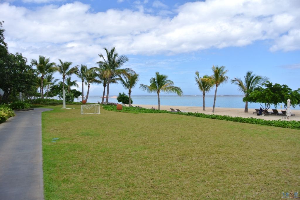 St. Regis Mauritius ë˹•Īɽ 𼪾 ˮϻ