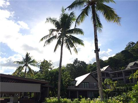 Hyatt Regency Phuket 普吉凯悦度假村归来！
