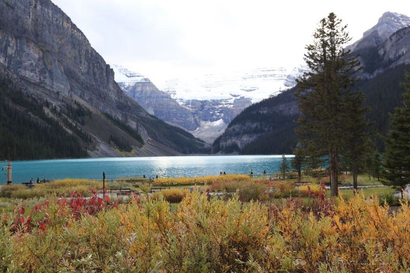 The Fairmont Chateau Lake Louise ͼ