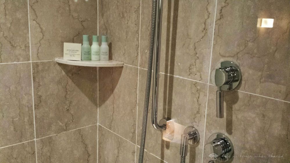 [D]¼¾Ƶ Grand Hyatt Singapore[M]