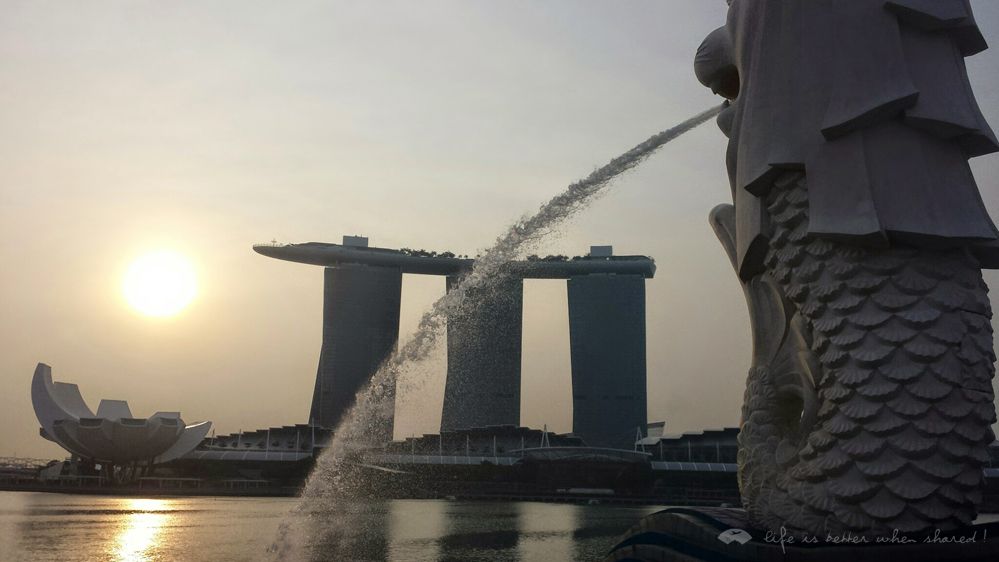 [D]¼¾Ƶ Grand Hyatt Singapore[M]