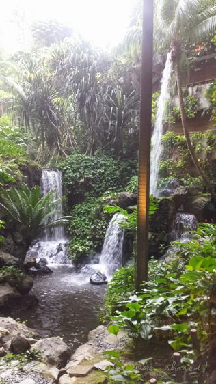 [D]¼¾Ƶ Grand Hyatt Singapore[M]