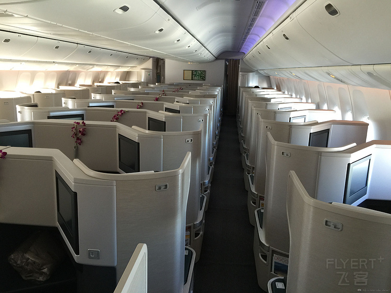SQ 388 Suite+AA A321T First+CX 77W First
