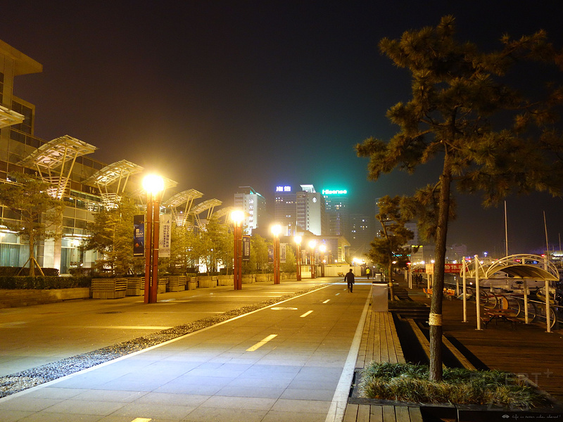 DSC02050.JPG