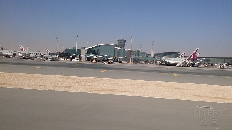 Hamad airport plane spottingʵ,319,320,332,333,346,388,77W,772,787ȫǿġ D ...