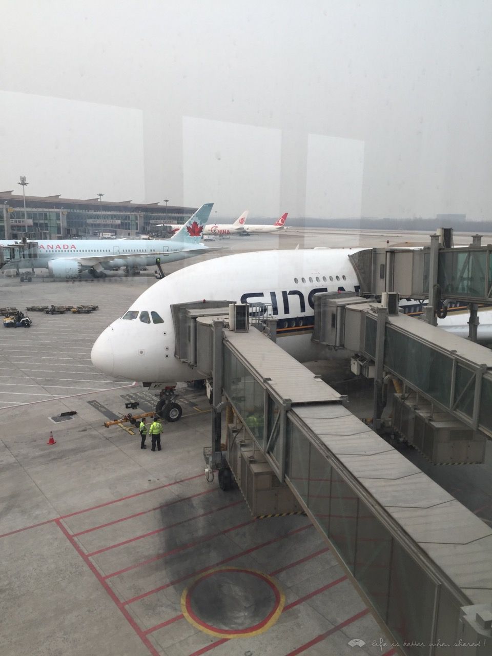 34¹CAºSQϷ֮ HRB-PEK-SIN-JNB-SIN-PEK-HRB