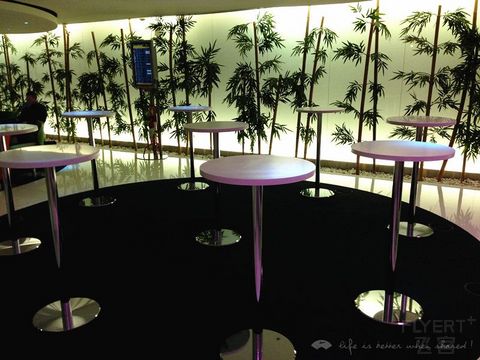 Ryan马年春节环球飞(5)1月30日葡萄牙航空TP662里斯本-阿姆斯特丹报告(迟到的初体验)
