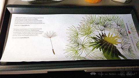 Ryan马年春节环球飞(5)1月30日葡萄牙航空TP662里斯本-阿姆斯特丹报告(迟到的初体验)