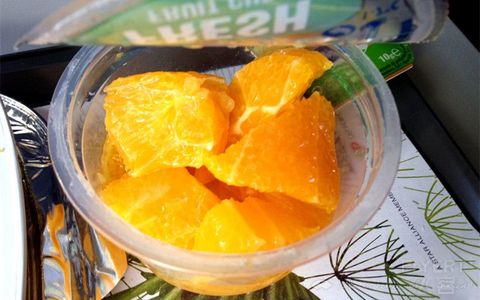 Ryan马年春节环球飞(5)1月30日葡萄牙航空TP662里斯本-阿姆斯特丹报告(迟到的初体验)