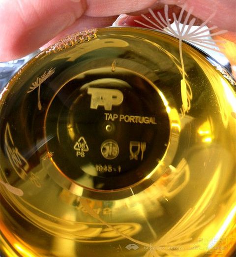 Ryan马年春节环球飞(5)1月30日葡萄牙航空TP662里斯本-阿姆斯特丹报告(迟到的初体验)