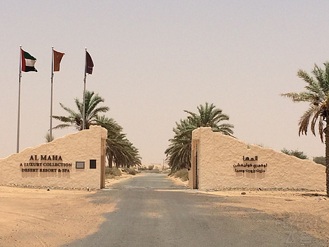 Al Maha, A Luxury Collection Desert Resort--˹