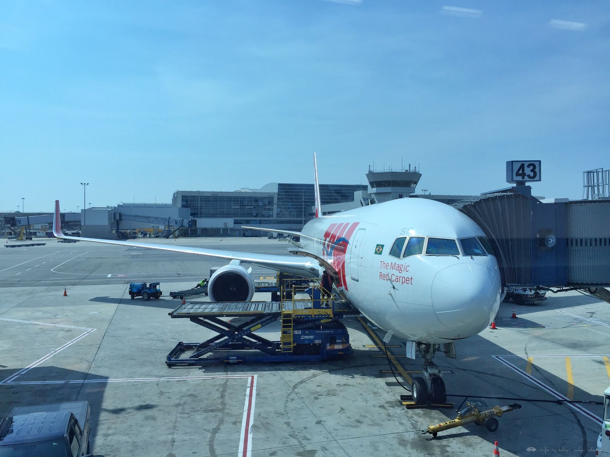 ײգTAM庽Ȩ JFK-YYZ