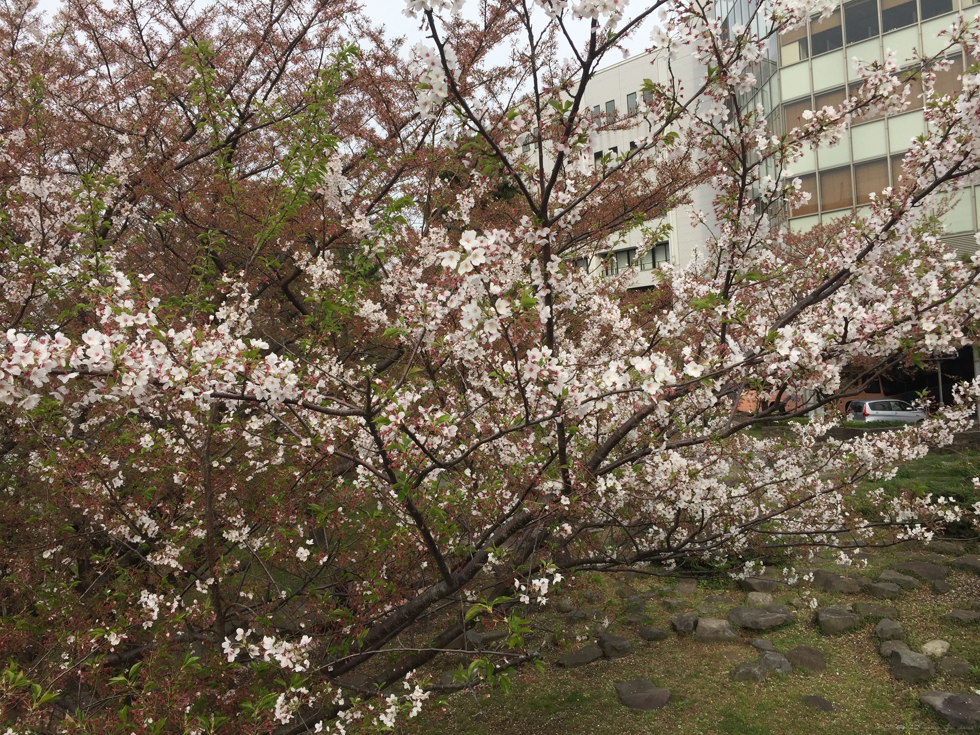 1 Part 3  NH058/NH961 ǧ꣭׶