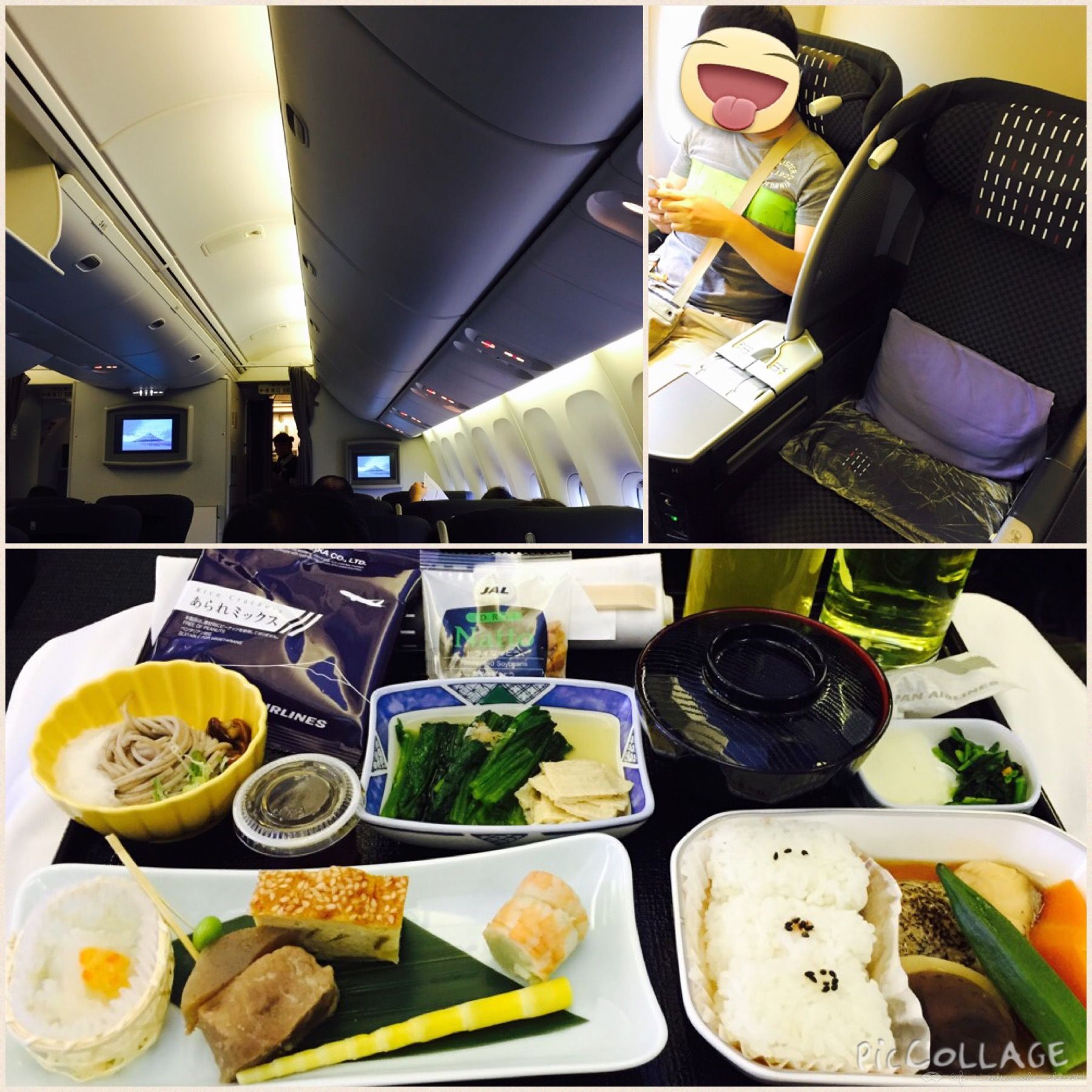 Rwмo2015-8. Japan Airline ٴwձ^œ, TSA-HND, NRT-ORD