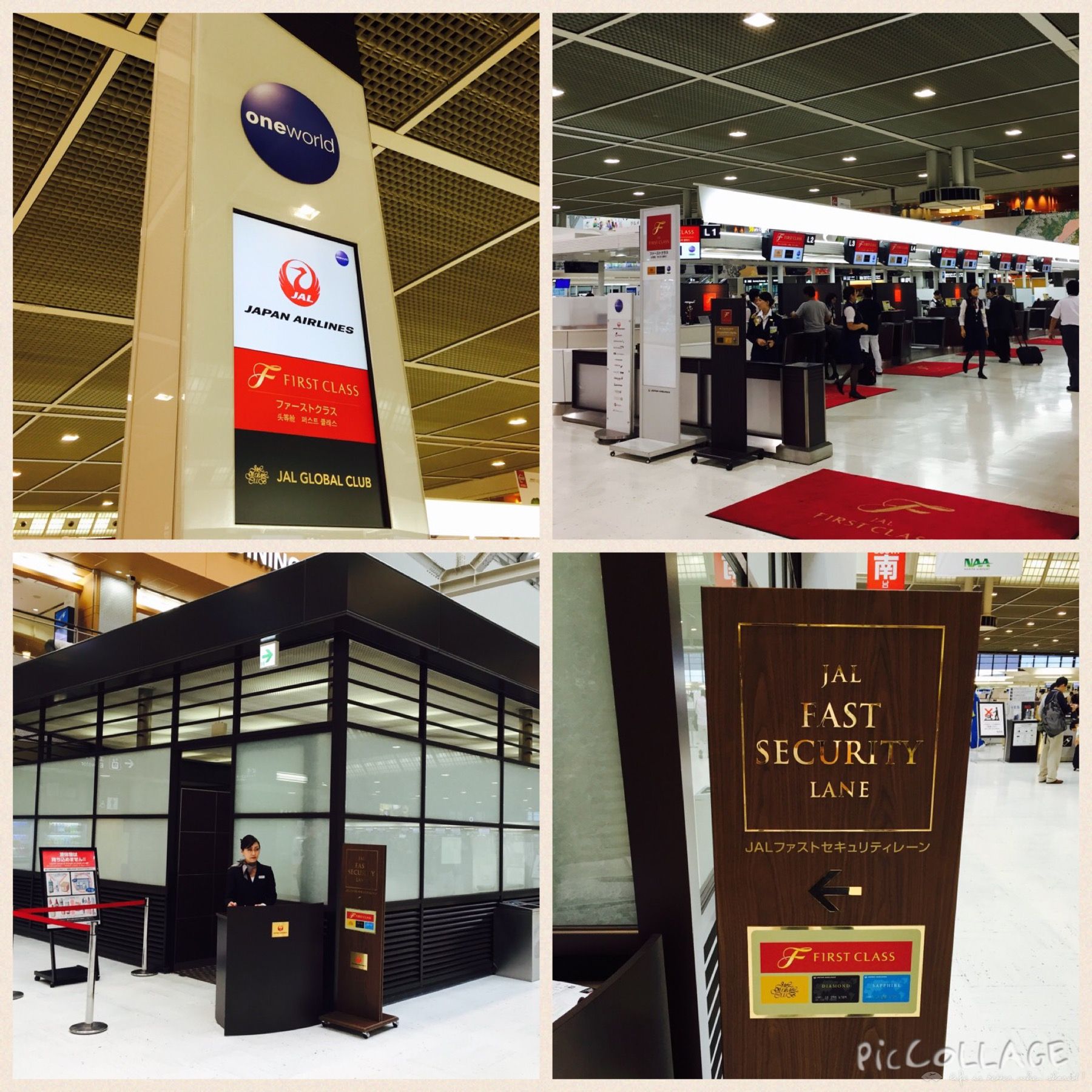 Rwмo2015-8. Japan Airline ٴwձ^œ, TSA-HND, NRT-ORD