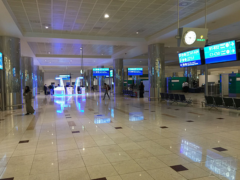 结束巴西工作归国之MAO-GRU-DXB-PVG(巴西天马航空&阿联酋航空)