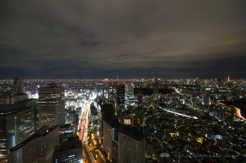 ʧ -  ⽻׷ / Park Hyatt Tokyo Diplomat Suite