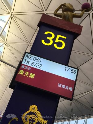 Air NZ庽HKG-AKL