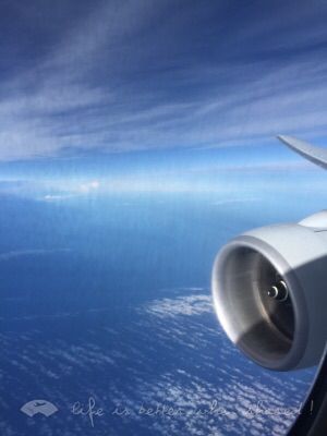 Air NZ庽HKG-AKL