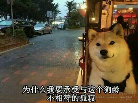 不**就不会死:CA+OD公务，TG+SQ+MS经济舱东南亚体验之旅（更新完毕）