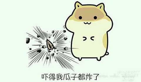 不**就不会死:CA+OD公务，TG+SQ+MS经济舱东南亚体验之旅（更新完毕）