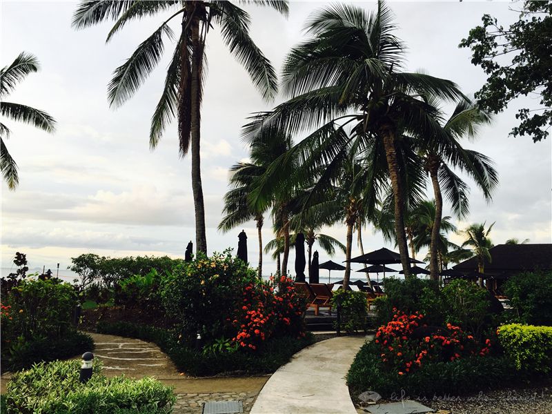 Bula Fiji! һɫ 쳼ϣٶȼپƵ.Hilton Fiji Beach Resort and Spa