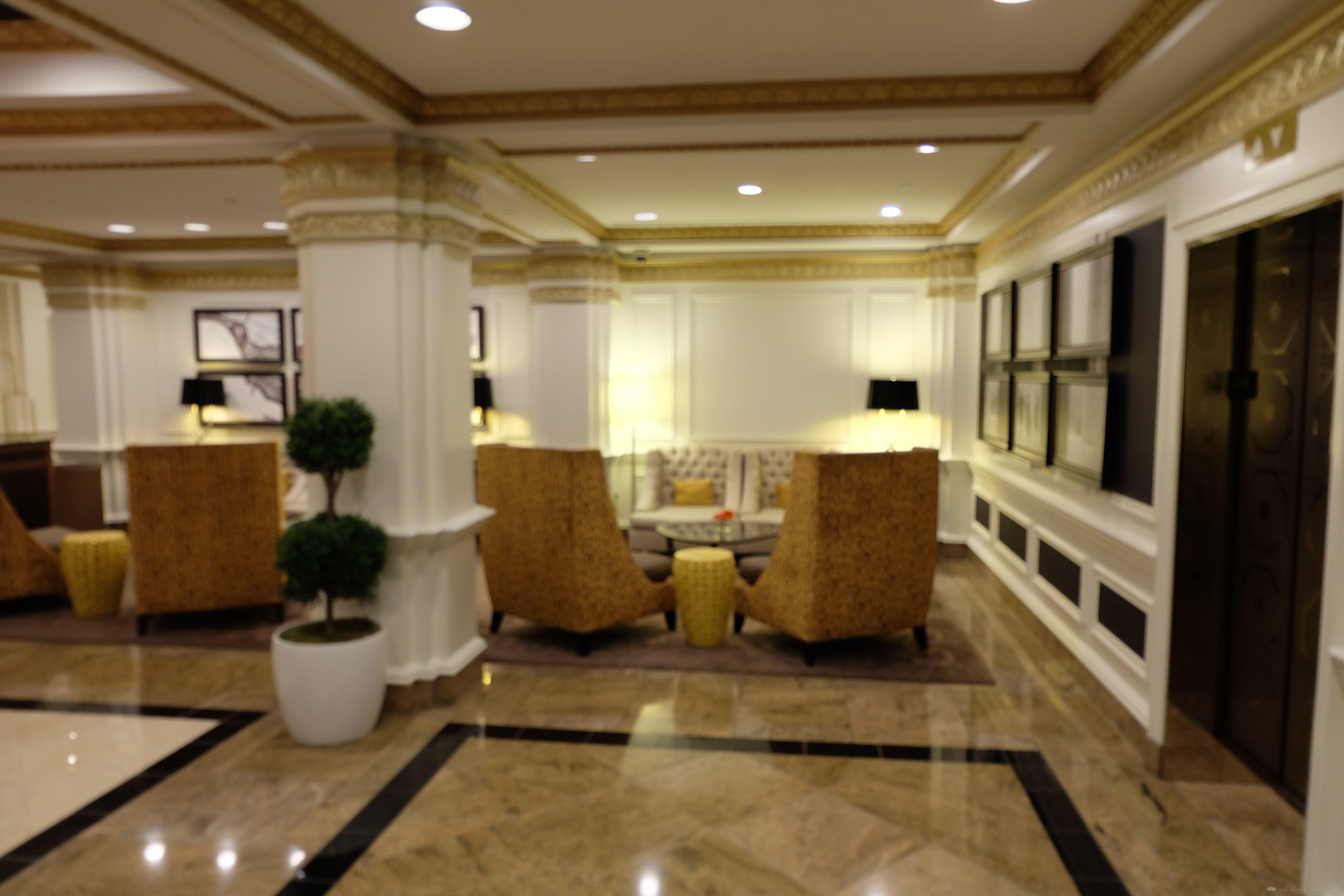 Ritz Carlton Georgetown γȿ &The Hamilton Crowne PlazaDCʳ