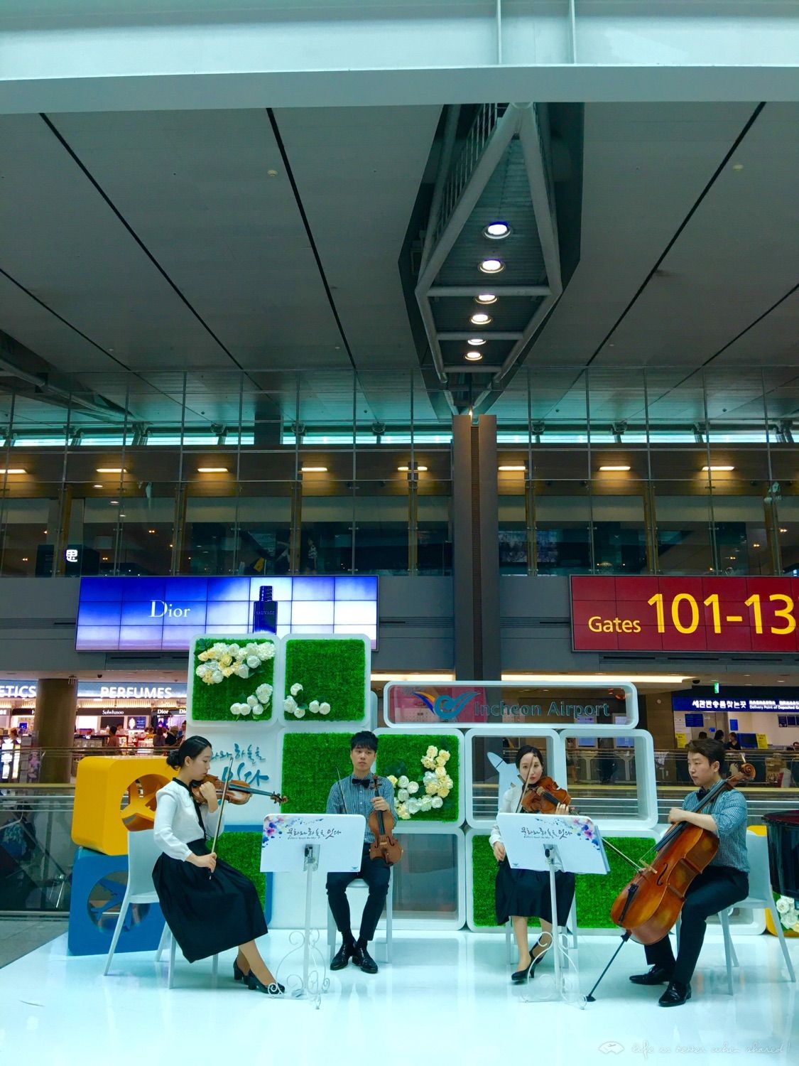 ľPVG-ICN 332͵һǰPTV333
