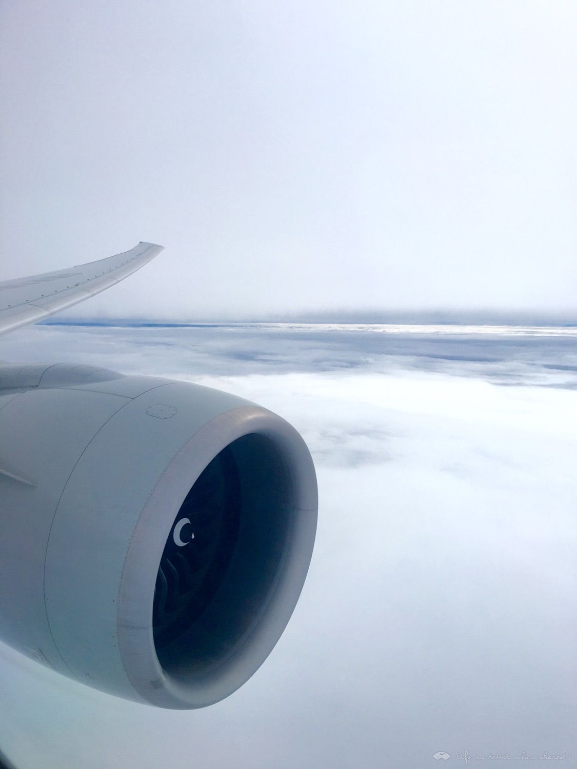 ˬ; PVG-ICN ;773