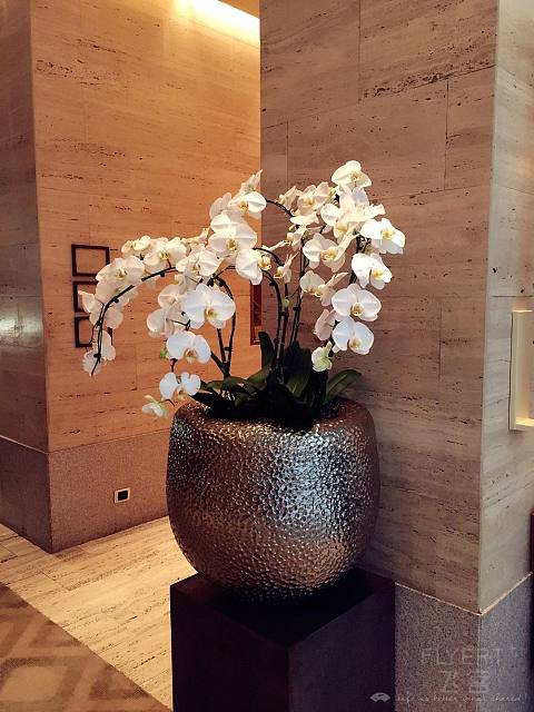 Park Hyatt Vienna & Milan - 维也纳柏悦 & 米兰柏悦