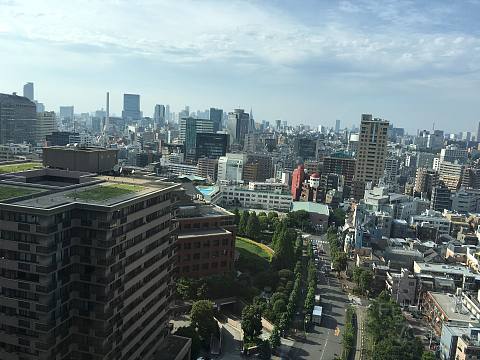 隐于繁华 | 东京威斯汀 行政客房&单卧室套房 Report