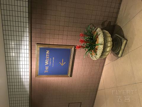隐于繁华 | 东京威斯汀 行政客房&单卧室套房 Report