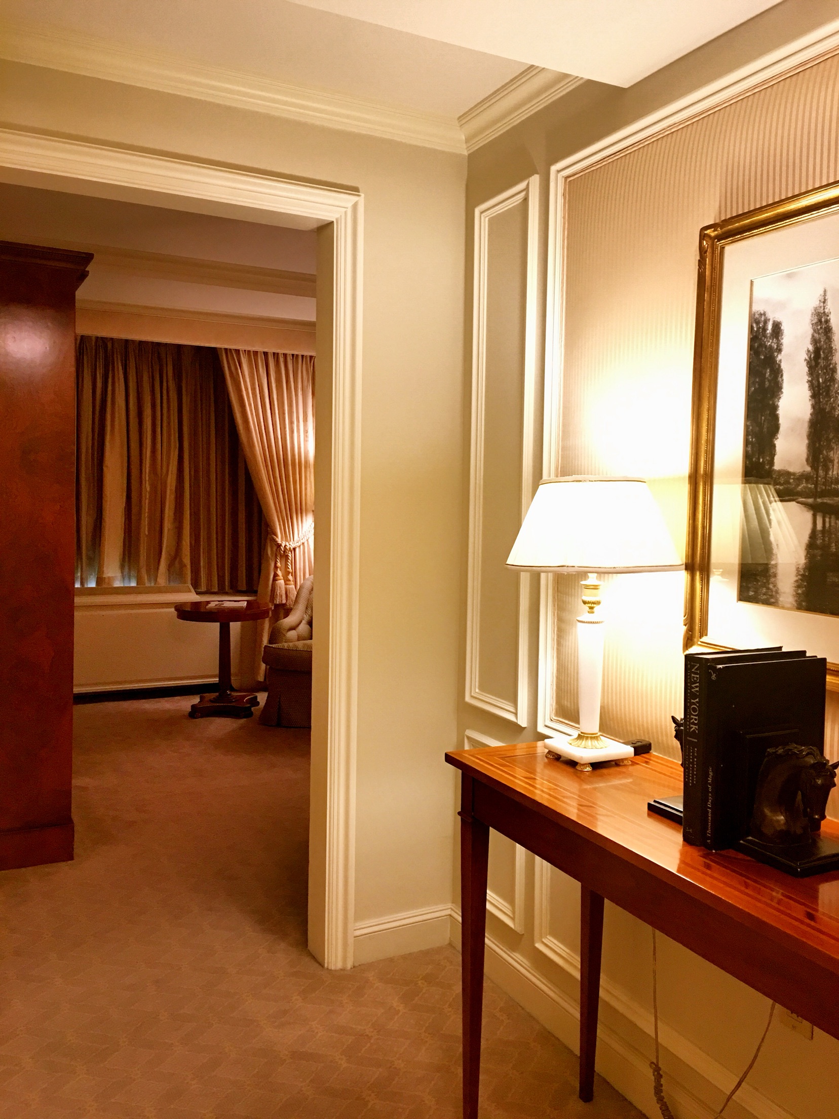 ŦԼ빫԰˼ || The Ritz-Carlton New York , Central Park