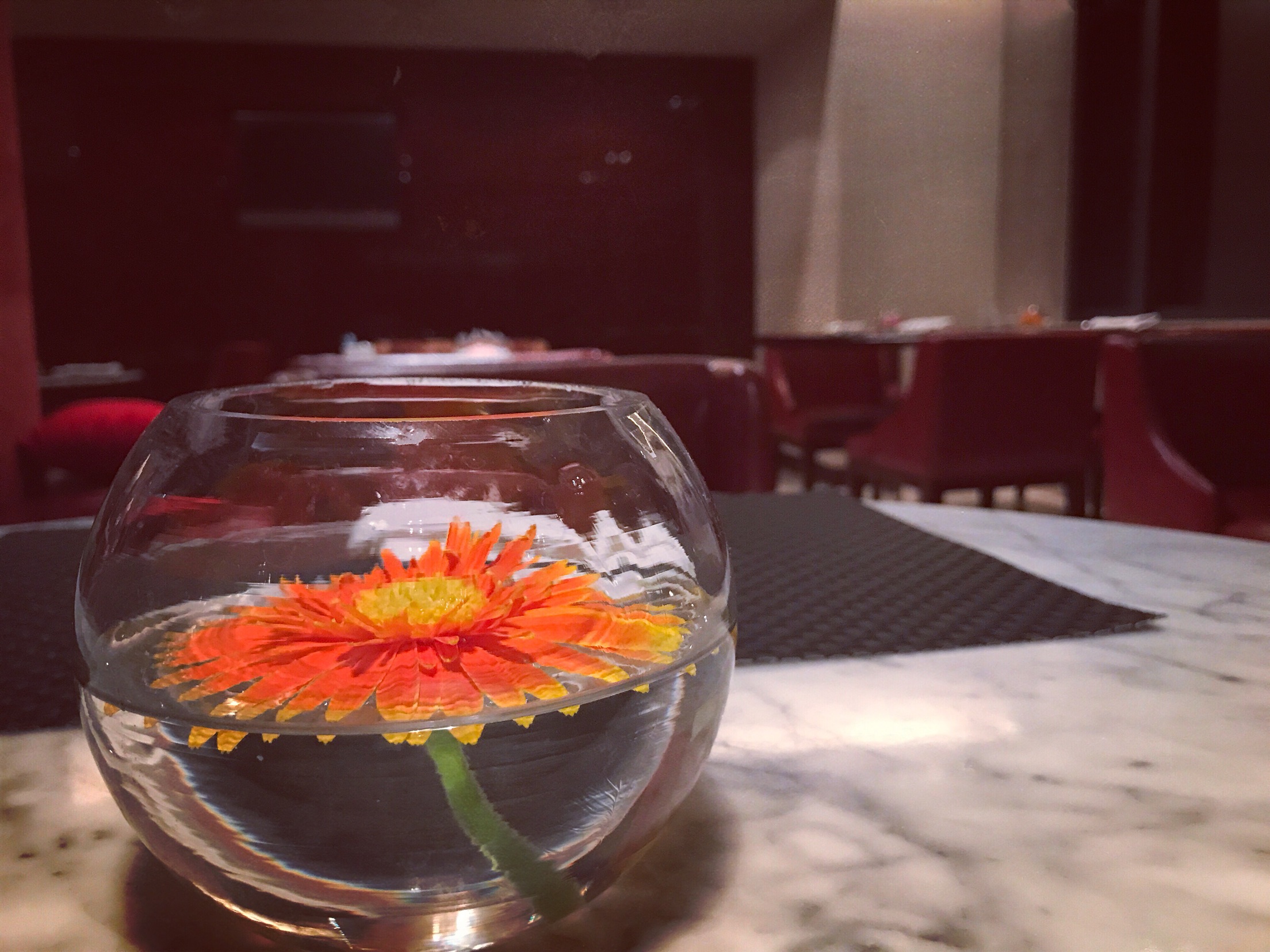 KIMI+ Ϻ֮ | Renaissance Shanghai Zhongshan Park