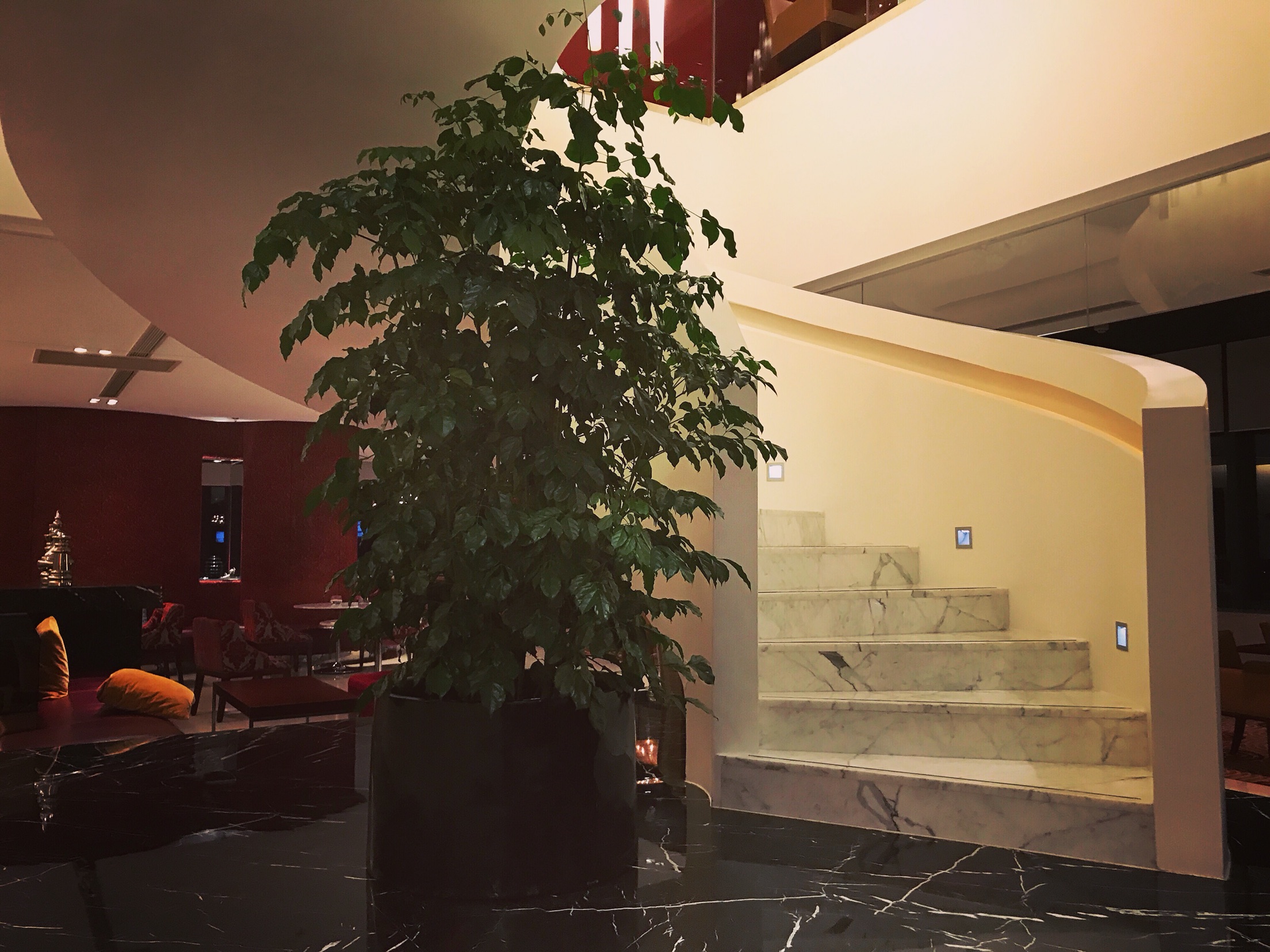 KIMI+ Ϻ֮ | Renaissance Shanghai Zhongshan Park