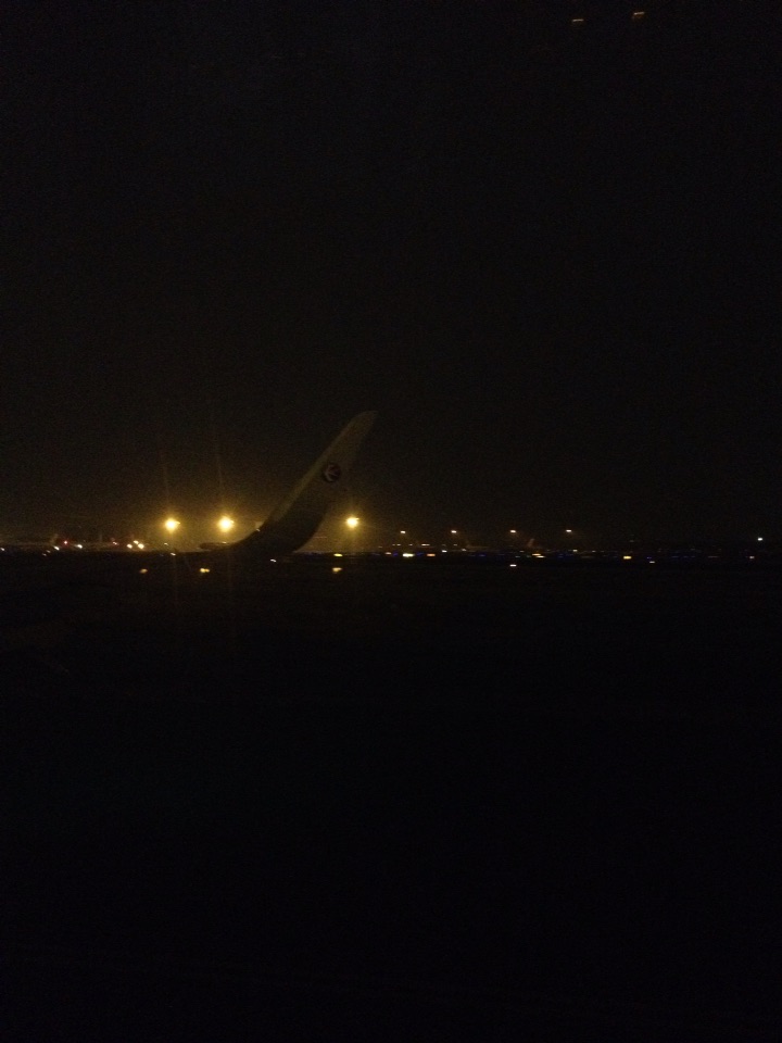 Ϳտܲ(2)321飬ọ́FLIGHT  LOGRP󱬷