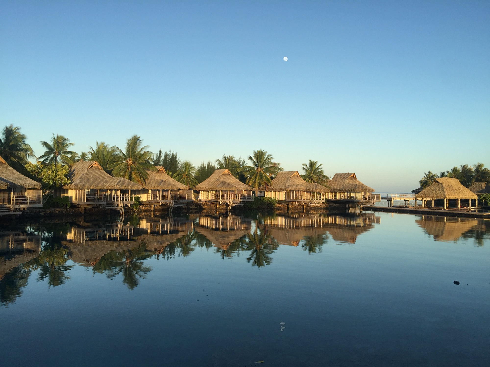 ǵ޼Moorea Intercontinental ס