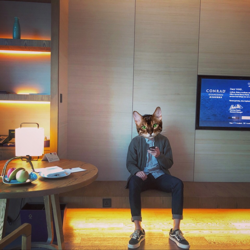 ݿreport: never just stay, stay inspired.