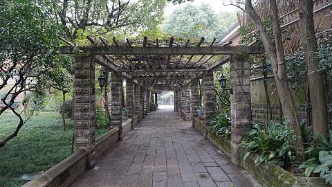 DSC02460.JPG