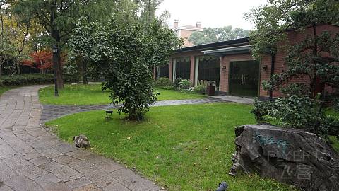 DSC02461.JPG