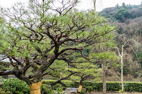 京都翠岚豪华精选 Suiran, a Luxury Collection Hotel, Kyoto